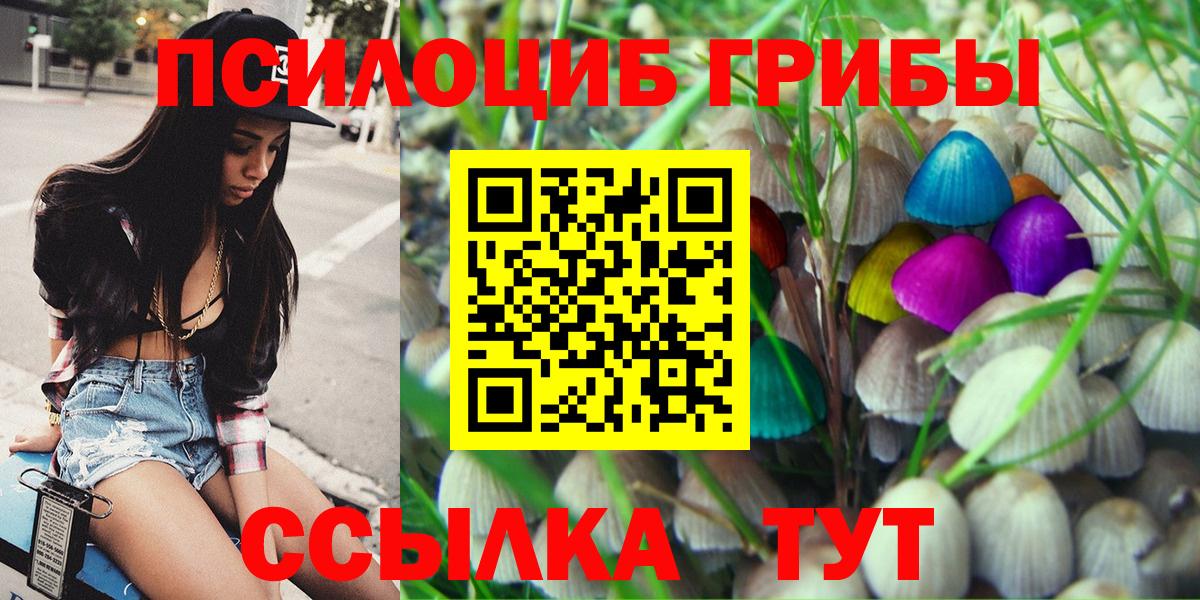Кизляр  Галлюциногенные грибы Magic Shrooms  Вход с VPN 
